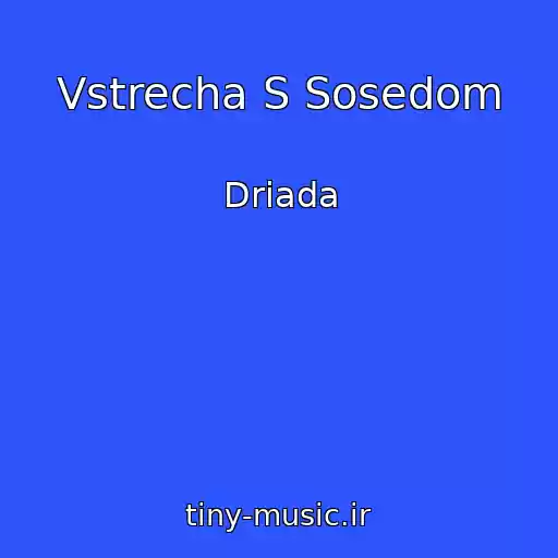 کاور آهنگ Vstrecha S Sosedom از Driada