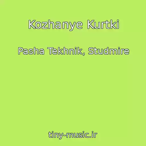 کاور آهنگ Kozhanye Kurtki از Pasha Tekhnik, Studmire