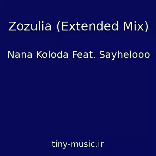 کاور آهنگ Zozulia (Extended Mix) از Nana Koloda Feat. Sayhelooo