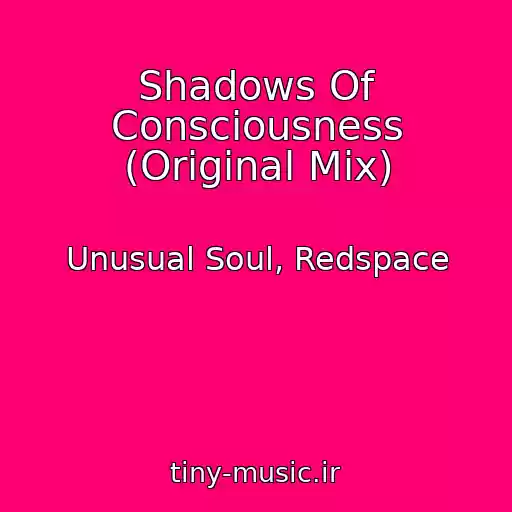 کاور آهنگ Shadows Of Consciousness (Original Mix) از Unusual Soul, Redspace