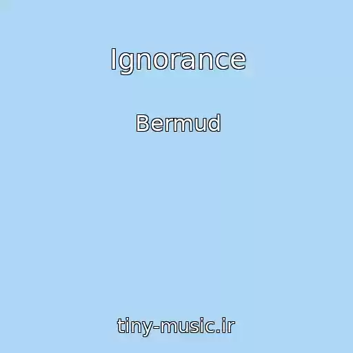 کاور آهنگ Ignorance از Bermud