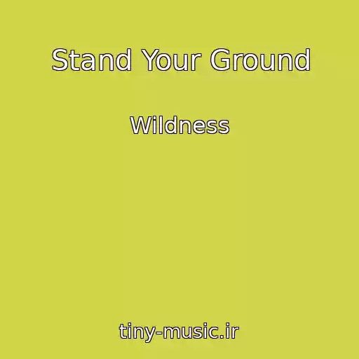 کاور آهنگ Stand Your Ground از Wildness