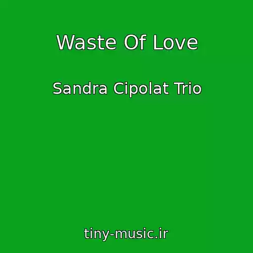 کاور آهنگ Waste Of Love از Sandra Cipolat Trio