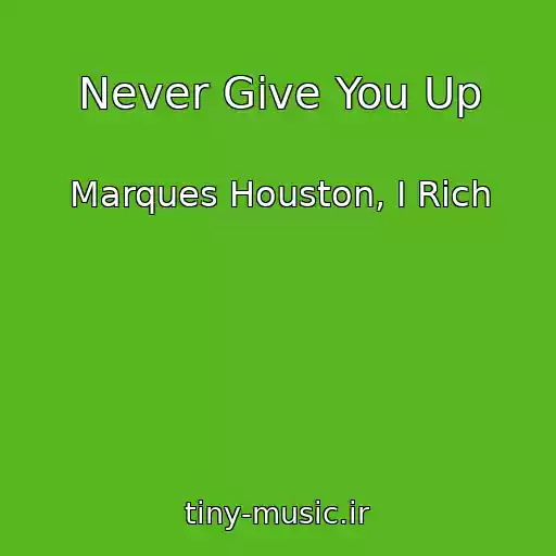 کاور آهنگ Never Give You Up از Marques Houston, I Rich