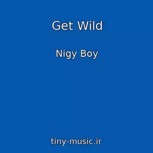 کاور آهنگ Get Wild از Nigy Boy