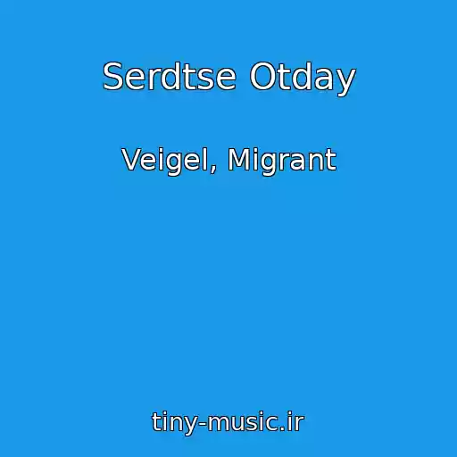 کاور آهنگ Serdtse Otday از Veigel, Migrant