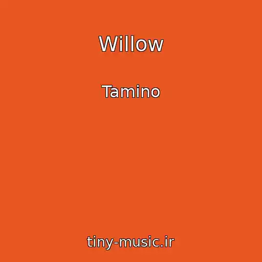 کاور آهنگ Willow از Tamino
