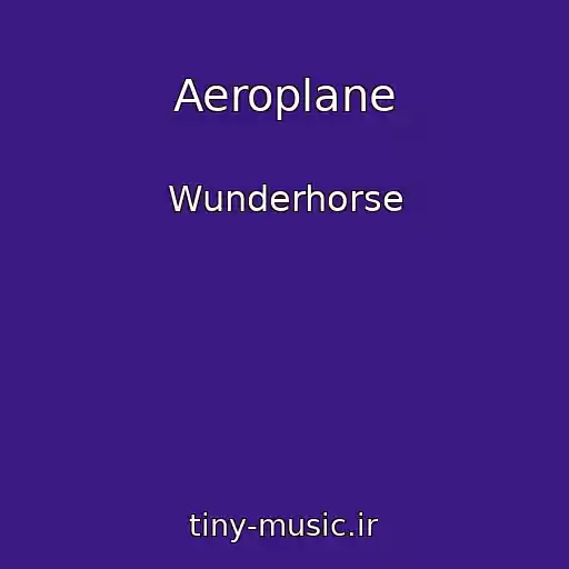 کاور آهنگ Aeroplane از Wunderhorse