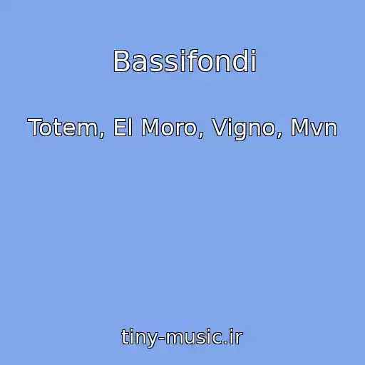 کاور آهنگ Bassifondi از Totem, El Moro, Vigno, Mvn