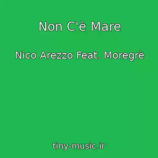 کاور آهنگ Non C'è Mare از Nico Arezzo Feat. Moregrè