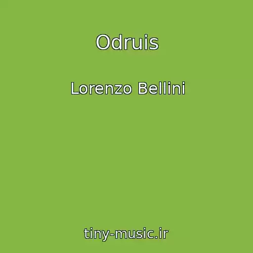کاور آهنگ Odruis از Lorenzo Bellini