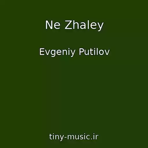 کاور آهنگ Ne Zhaley از Evgeniy Putilov