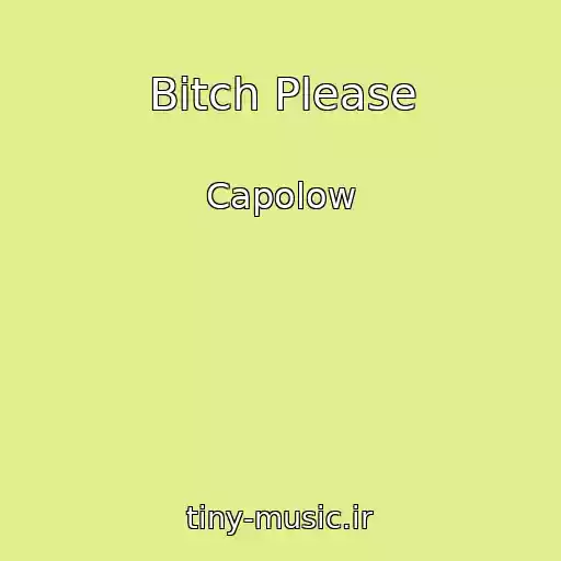 کاور آهنگ Bitch Please از Capolow