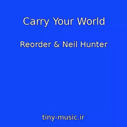 کاور آهنگ Carry Your World از Reorder & Neil Hunter