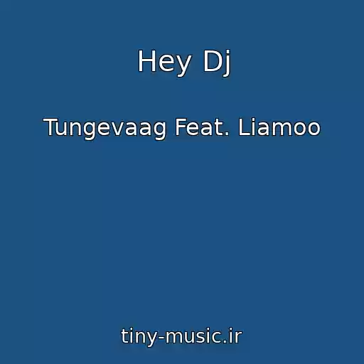 کاور آهنگ Hey Dj از Tungevaag Feat. Liamoo