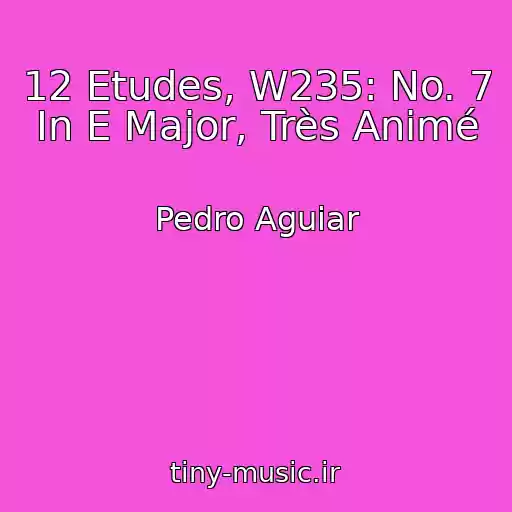 کاور آهنگ 12 Etudes, W235: No. 7 In E Major, Très Animé از Pedro Aguiar