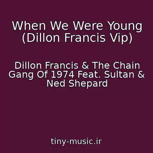 کاور آهنگ When We Were Young (Dillon Francis Vip) از Dillon Francis & The Chain Gang Of 1974 Feat. Sultan & Ned Shepard