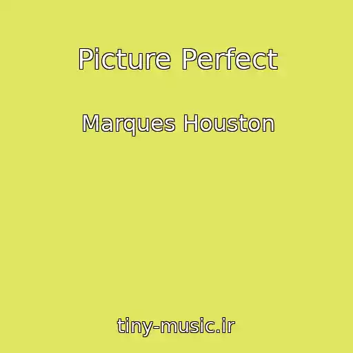 کاور آهنگ Picture Perfect از Marques Houston