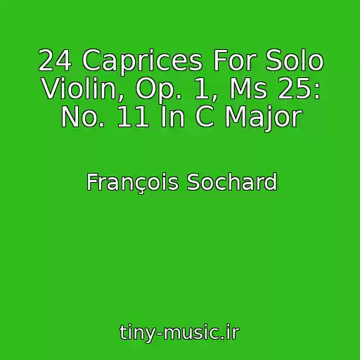 کاور آهنگ 24 Caprices For Solo Violin, Op. 1, Ms 25: No. 11 In C Major از François Sochard