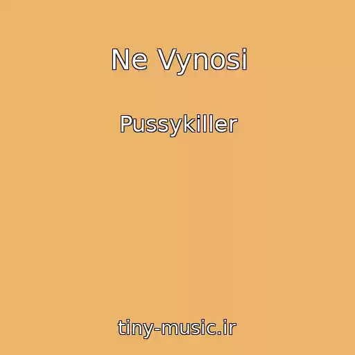 کاور آهنگ Ne Vynosi از Pussykiller