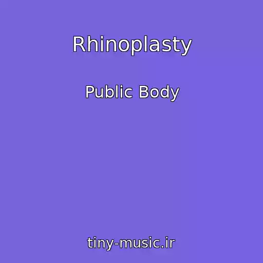 کاور آهنگ Rhinoplasty از Public Body