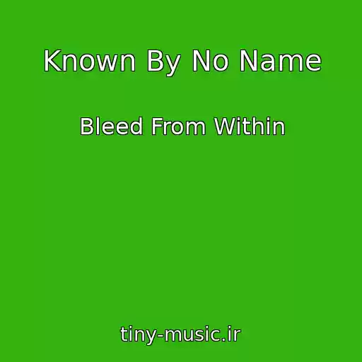 کاور آهنگ Known By No Name از Bleed From Within