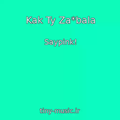 کاور آهنگ Kak Ty Za*bala از Saypink!