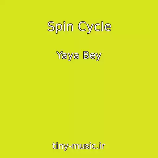 کاور آهنگ Spin Cycle از Yaya Bey