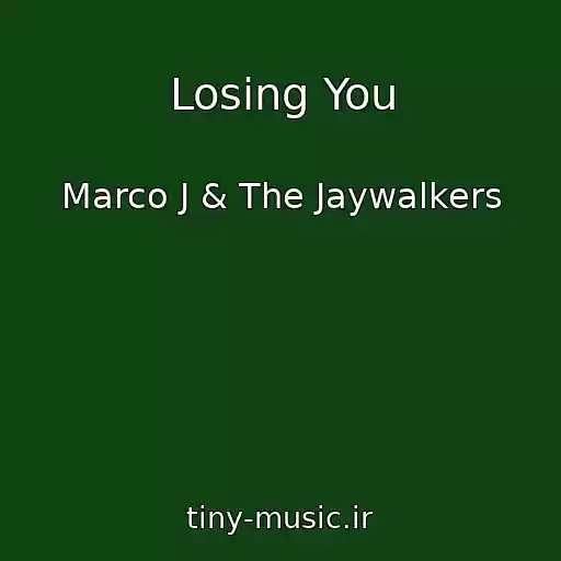کاور آهنگ Losing You از Marco J & The Jaywalkers