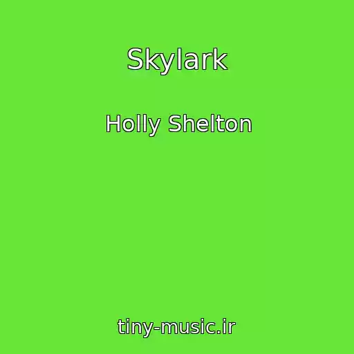 کاور آهنگ Skylark از Holly Shelton