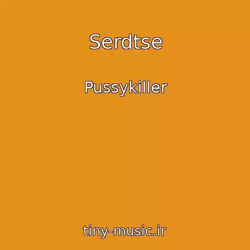 کاور آهنگ Serdtse از Pussykiller
