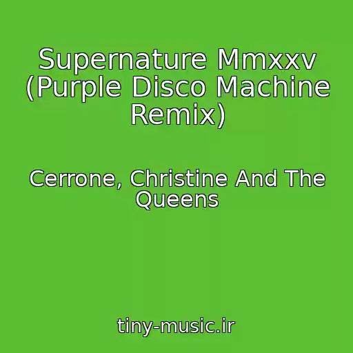 کاور آهنگ Supernature Mmxxv (Purple Disco Machine Remix) از Cerrone, Christine And The Queens