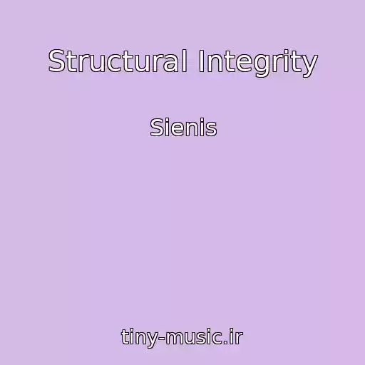 کاور آهنگ Structural Integrity از Sienis
