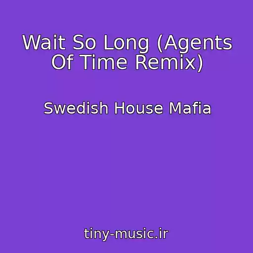 کاور آهنگ Wait So Long (Agents Of Time Remix) از Swedish House Mafia