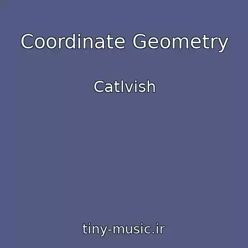 کاور آهنگ Coordinate Geometry از Catlvish
