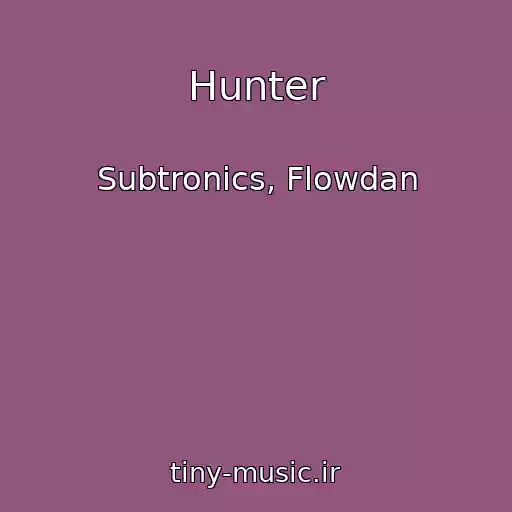 کاور آهنگ Hunter از Subtronics, Flowdan