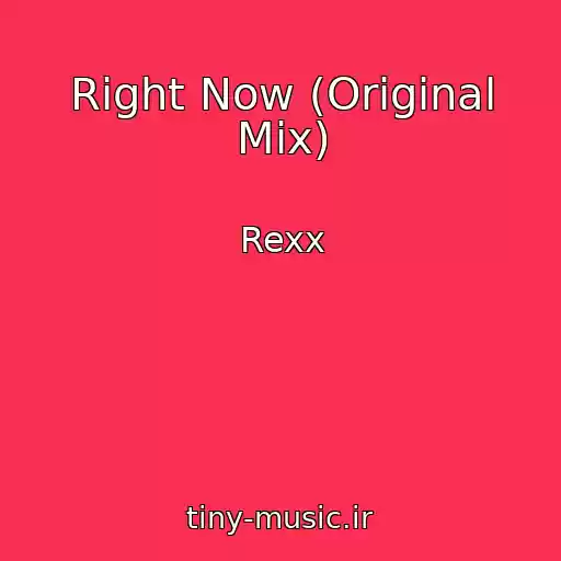 کاور آهنگ Right Now (Original Mix) از Rexx