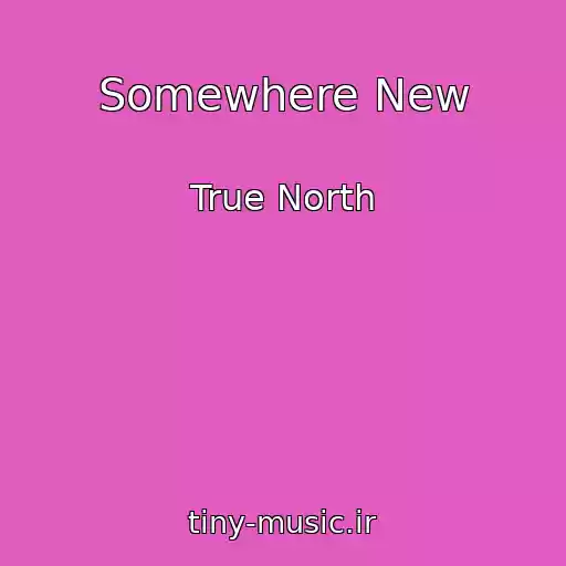 کاور آهنگ Somewhere New از True North