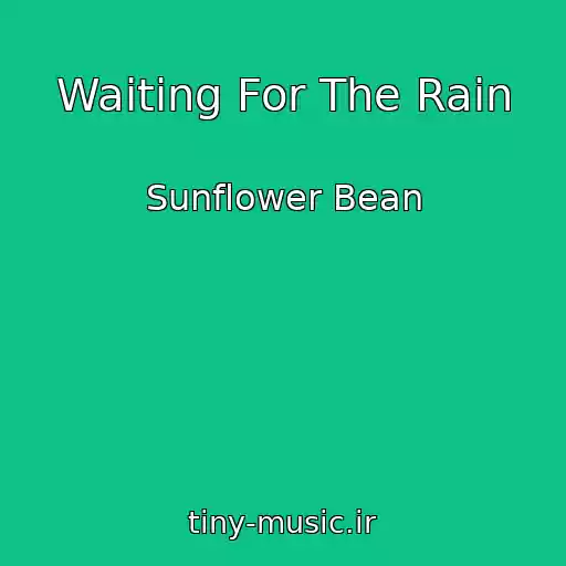 کاور آهنگ Waiting For The Rain از Sunflower Bean