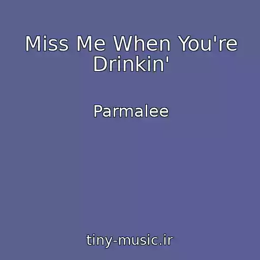 کاور آهنگ Miss Me When You're Drinkin' از Parmalee