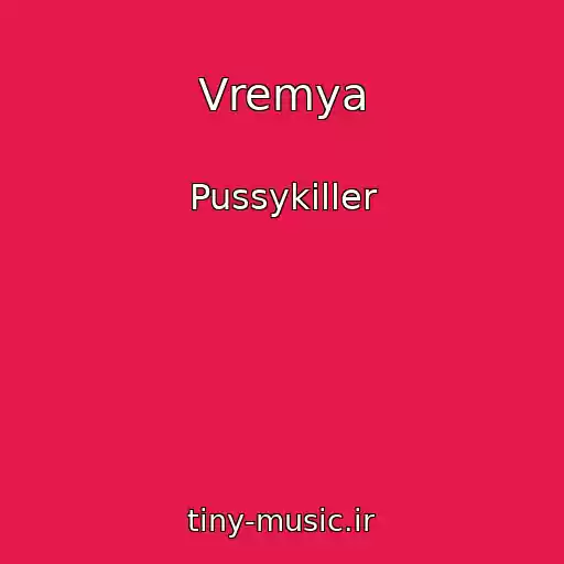 کاور آهنگ Vremya از Pussykiller