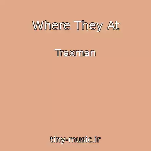 کاور آهنگ Where They At از Traxman