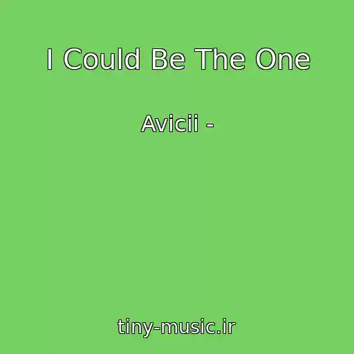 کاور آهنگ I Could Be The One از Avicii -