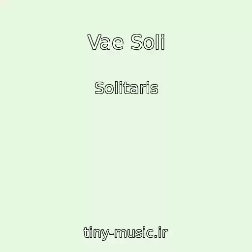 کاور آهنگ Vae Soli از Solitaris