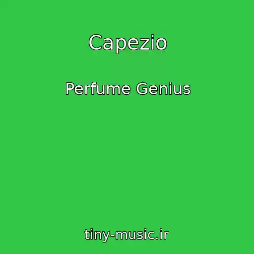 کاور آهنگ Capezio از Perfume Genius