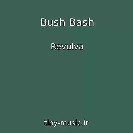 کاور آهنگ Bush Bash از Revulva