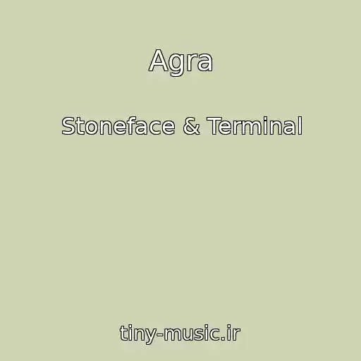 کاور آهنگ Agra از Stoneface & Terminal
