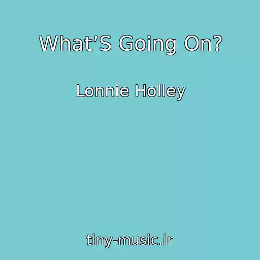 کاور آهنگ What’S Going On? از Lonnie Holley