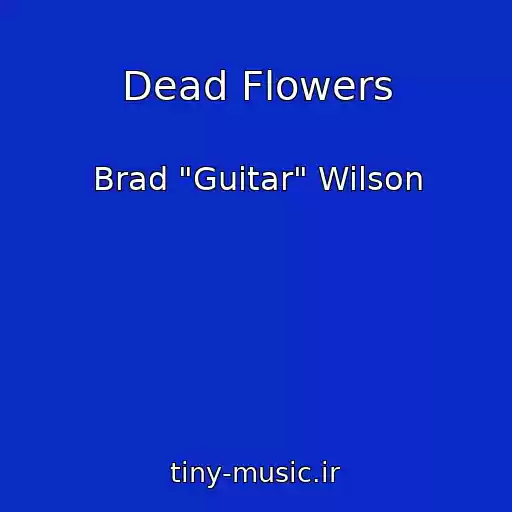 کاور آهنگ Dead Flowers از Brad "Guitar" Wilson