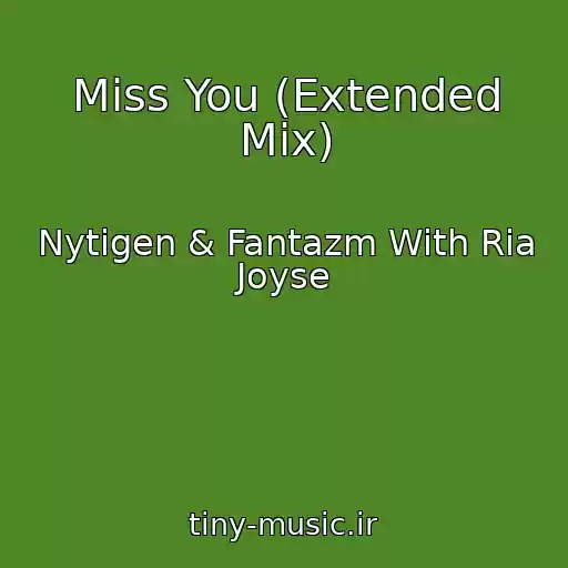 کاور آهنگ Miss You (Extended Mix) از Nytigen & Fantazm With Ria Joyse